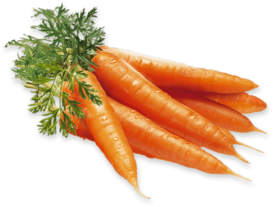 Red carrot vegetables